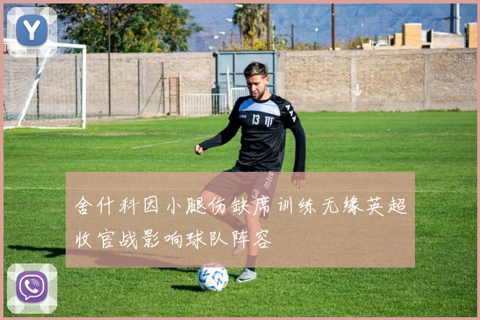 舍什科因小腿伤缺席训练无缘英超收官战影响球队阵容
